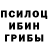 Псилоцибиновые грибы Magic Shrooms Vetal Cherchyk