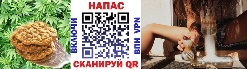 Еда ТГК конопля  Купить закладки  Невель 
