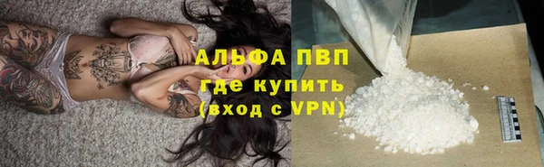 сатива Козельск