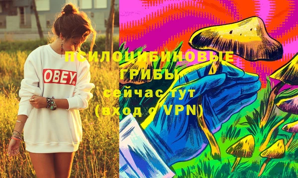mdpv Козловка