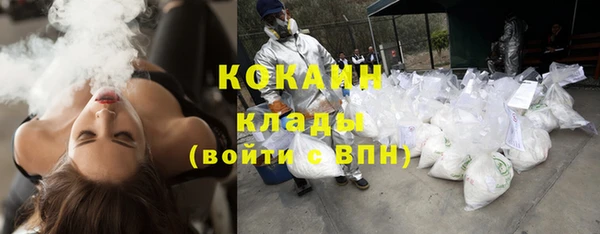 ALPHA PVP Кодинск