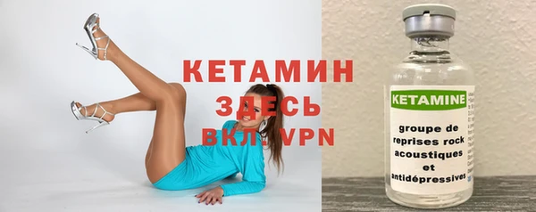 сатива Козельск