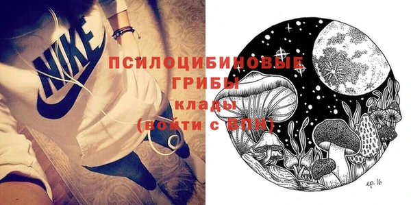 сатива Козельск