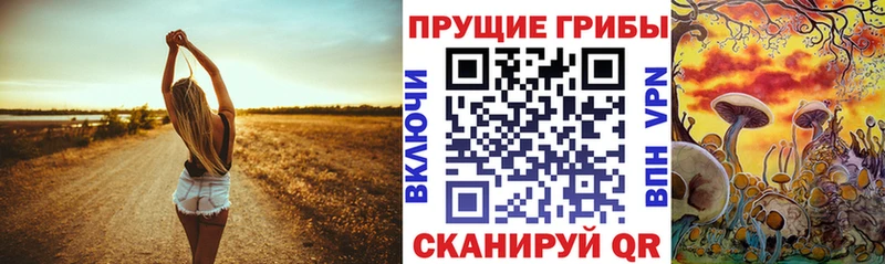 Купить где  Невель  Галлюциногенные грибы Psilocybine cubensis 
